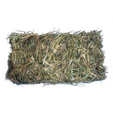 Grass Hay Bagged