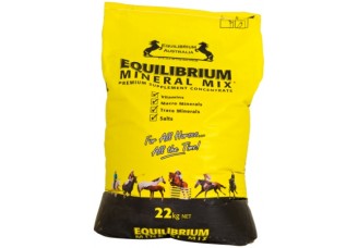 Equilibrium 12kg (Yellow Bag)