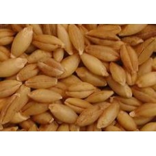 Green Valley Whole Barley - 20kg